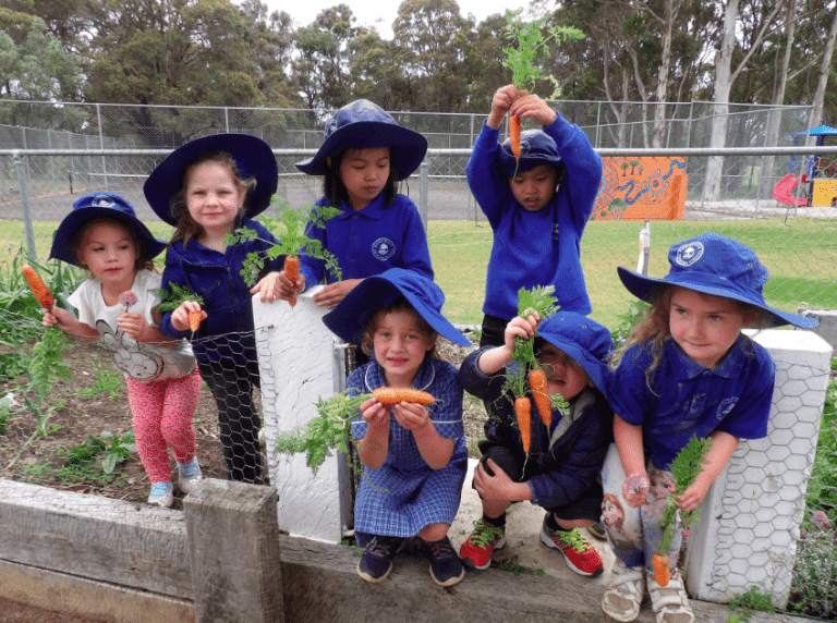 School Age Calculator Karridale Primary School